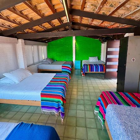 Casa Frida Gaylodging Puerto Vallarta Dış mekan fotoğraf